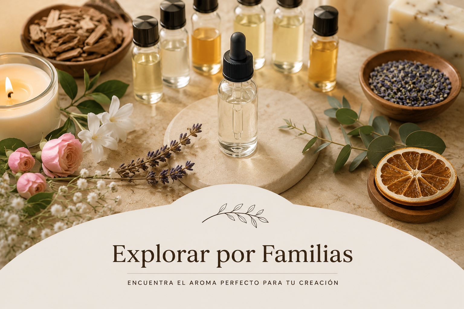 Fragancias organizadas por familias olfativas