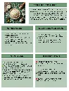 Fichas Técnicas (1).webp