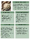 Fichas Técnicas (2).webp