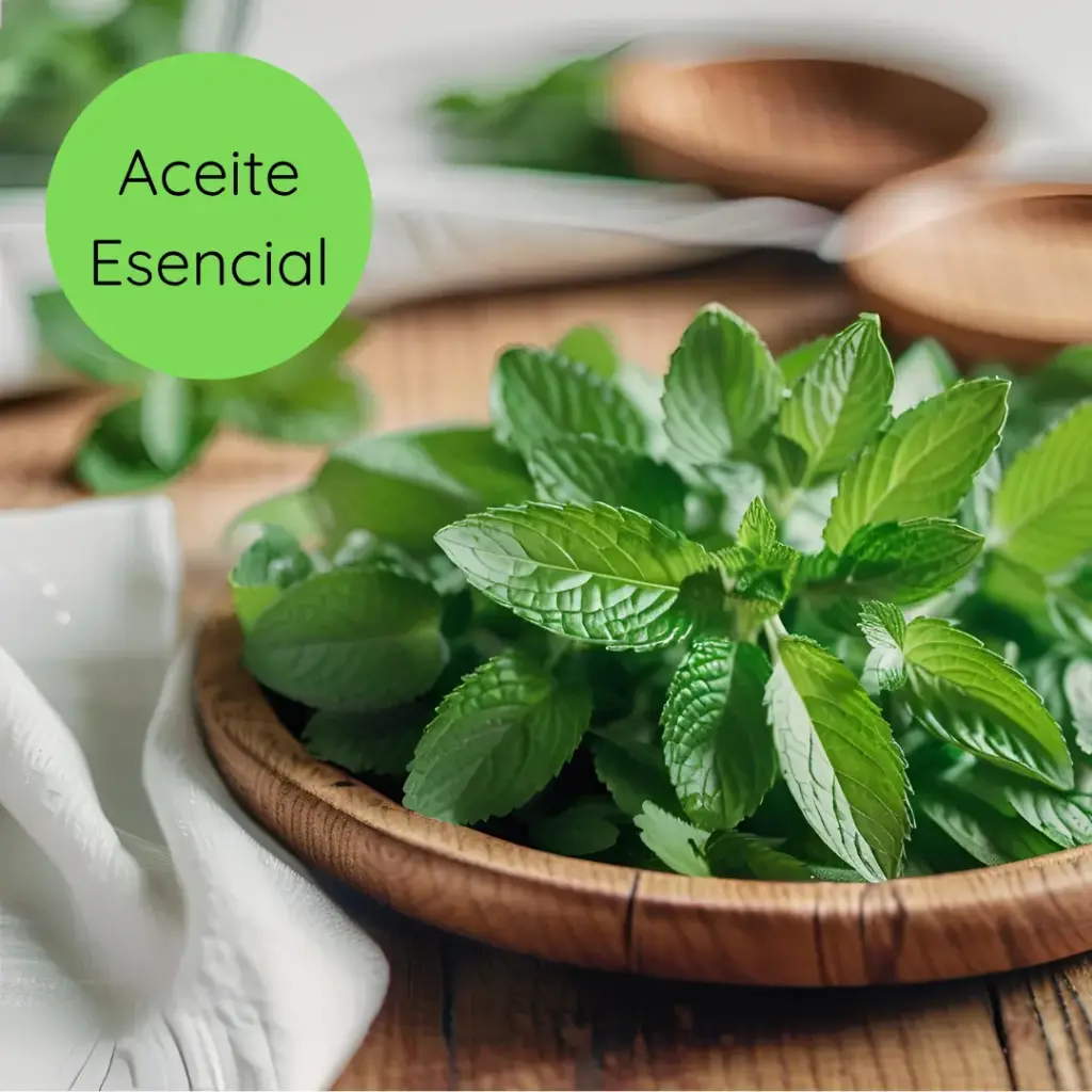 Aceite Esencial Menta 15ml