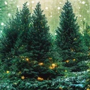 [FRV118] Fragancia Bosque Navideño Vela 50ml