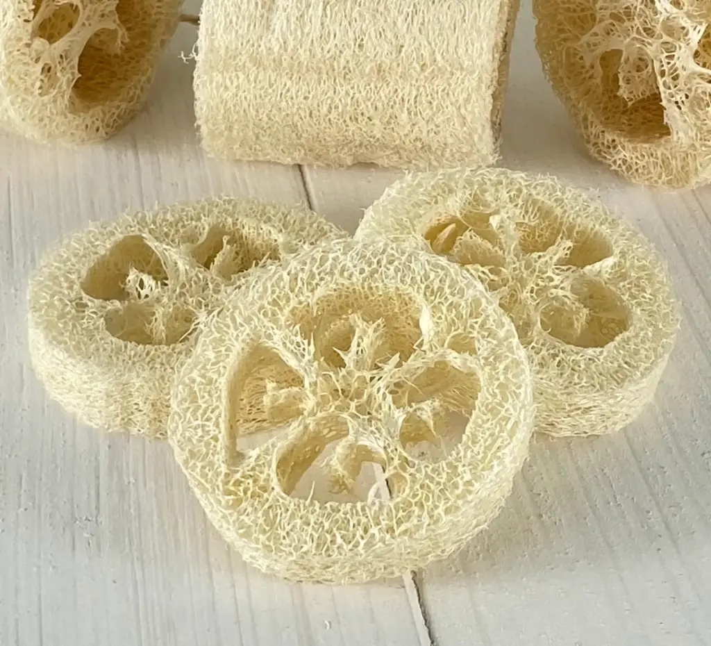 Luffa estropajo en rodajas 5pz