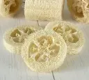 Luffa estropajo en rodajas 5pz